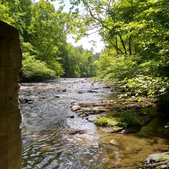 Meet your Posher, Susan - Picture 1 of 1